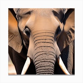 Elephant Canvas Print