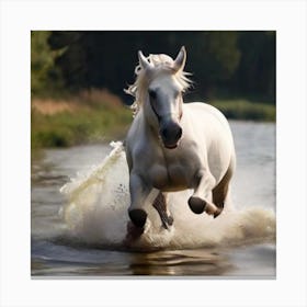 White Horse Running In Water 3 Canvas Print