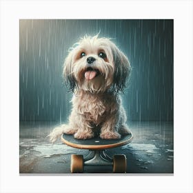 Skateboard In The Rain Canvas Print