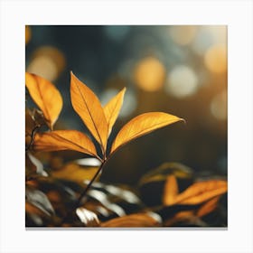 Autumn Leaves Canvas Print