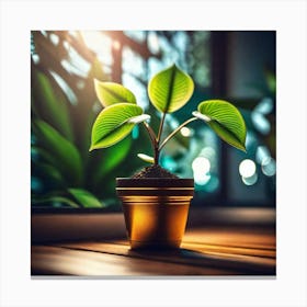 Small Plant In A Pot Canvas Print