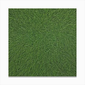 Green Grass Background 9 Canvas Print