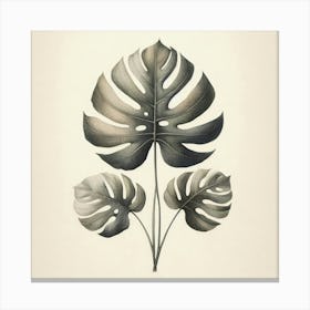 Monstera Leaf 3 Canvas Print