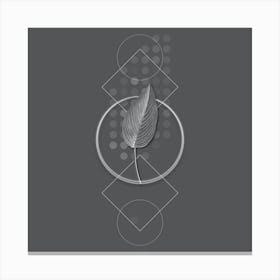 Vintage Powdery Alligator Flag Botanical with Line Motif and Dot Pattern in Ghost Gray n.0075 Canvas Print