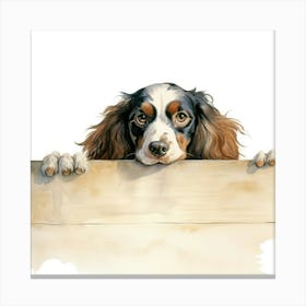 Spaniel Sussex 3 Canvas Print