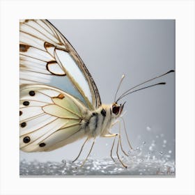 Butterfly On Water Canvas Print