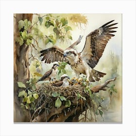 Osprey Family Canvas Print