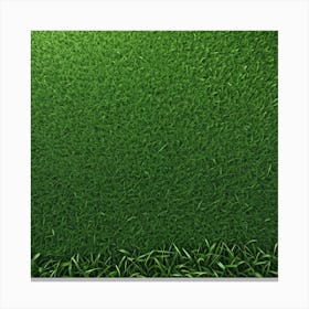 Green Grass Background 6 Canvas Print