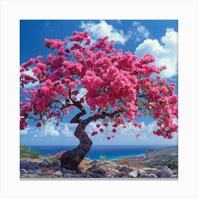 Pink Bougainvillea Tree Canvas Print