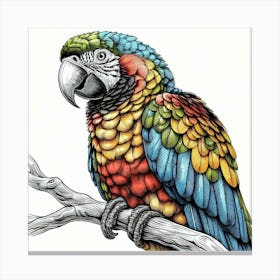 Line Art Ara parrot 1 Canvas Print