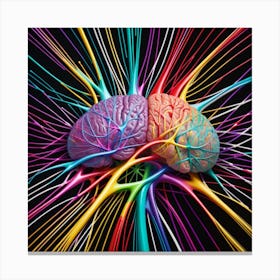 Brain And Nervous System 39 Canvas Print