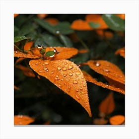 Raindrops On Orange Leaves 1 Canvas Print