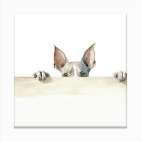 Little Dog Peeking Over The Wall 1 Canvas Print