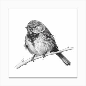 Bird On A Branch 10 Canvas Print