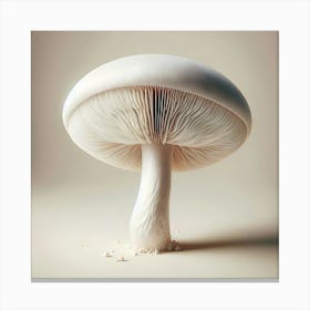 Mushroom 1 Canvas Print