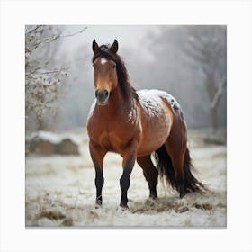 Horse In The Snow Canvas Print