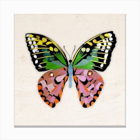 Butterfly In Green And Purple Canvas Print