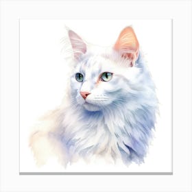 Turkish Angora Cat Portrait 2 Canvas Print