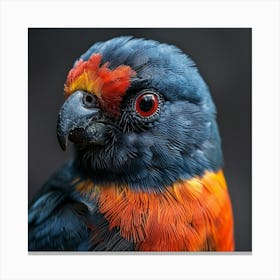 Cockatoo 10 Canvas Print