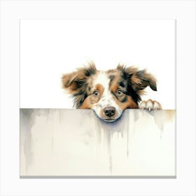 Australian Shepherd 2 Canvas Print