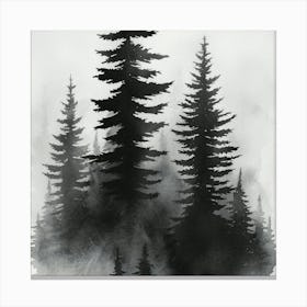 Black And White Of Pine Trees Canvas Print