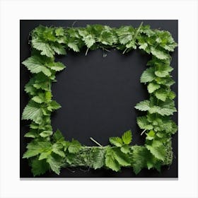 Frame Of Nettles Canvas Print