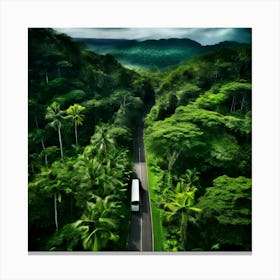 Tropical Treetop Pass Plant Foliage Trailer Texture Car Rural Season Green Pathway Aeria (3) Canvas Print