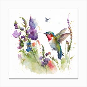 Hummingbird Painting Canvas Print