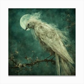 In The Moonlight Canvas Print