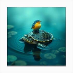 Bird On Turtle Canvas Print