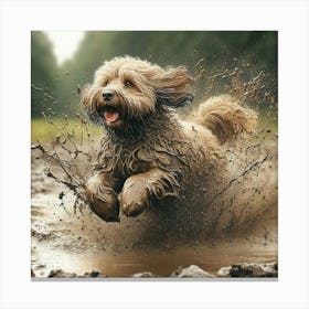 Dog Running In Mud 6 Canvas Print