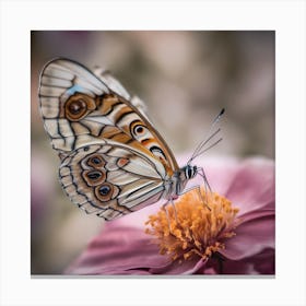 Butterfly Art Print Depicting 3 Canvas Print