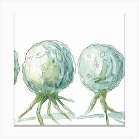 Four Green Fungus Canvas Print