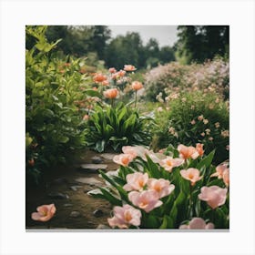 Pink Tulips In The Garden 1 Canvas Print