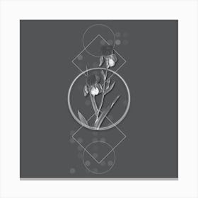 Vintage Elder Scented Iris Botanical with Line Motif and Dot Pattern in Ghost Gray n.0194 Canvas Print