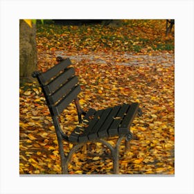 Autumn Leaves On A Bench Canvas Print