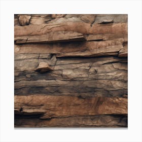 Sandstone Wall 2 Canvas Print