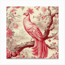 Chinese Phoenix Canvas Print