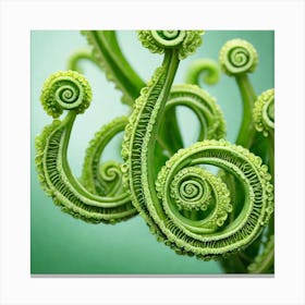 Spiral Fern 3 Canvas Print