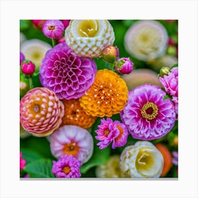 Dahlias 1 Canvas Print