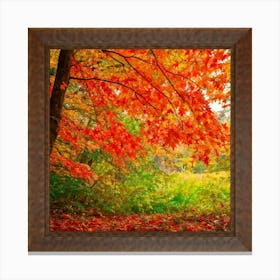 Autumn Frame Embracing Bright Foliage Maple Leaves Transitioning From Green To Vivid Shades Of Oran (3) Canvas Print