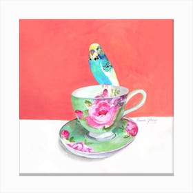 Budgerigar On Pink And Green Tea Cup Square Canvas Print
