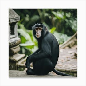 Monkey In The Jungle 2 Canvas Print