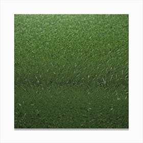 Green Grass Background 26 Canvas Print