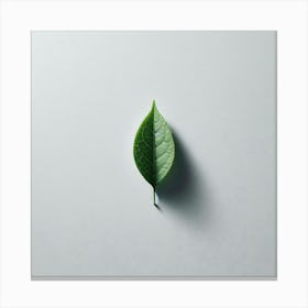 Tea Leaf Art 5 Canvas Print