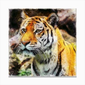 Tiger Feline Cat Predator Hunter Animal Wildlife Head Portrait Painting Nature Canvas Print