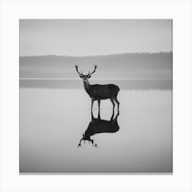 Deer Standing In Water Canvas Print