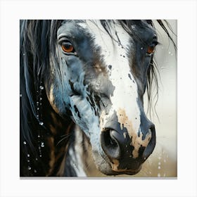 Horse Portrait 1 Canvas Print