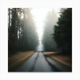 Foggy Forest Road Canvas Print