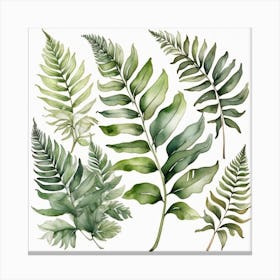 Green fern 5 Canvas Print